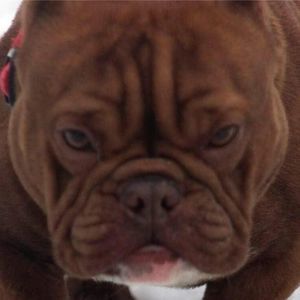 Meet your Posher, Nissa